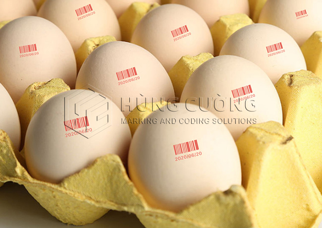 Mã hóa trứng