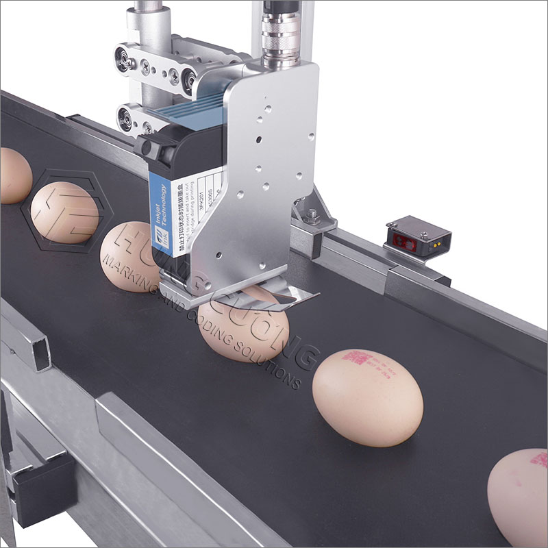 Máy phun mã ký hiệu, in date lên trứng T2 (12.7 mm)